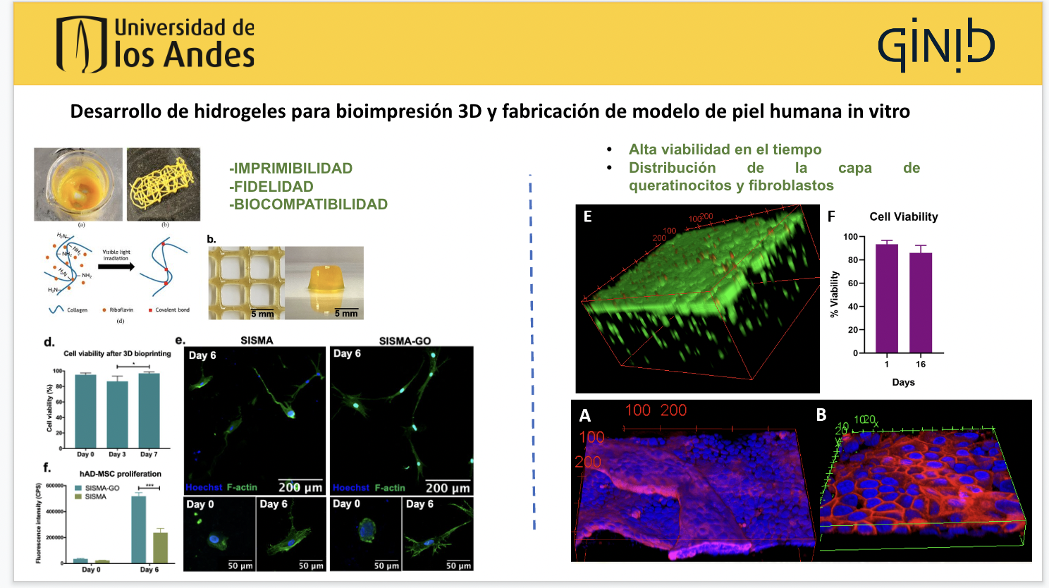 Semillero de la línea Ingeniería celular y bioimpresión