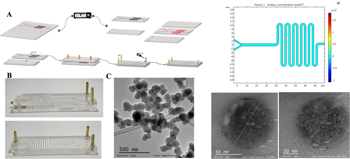 Semillero de la línea Nanobiotecnología y Biomateriales