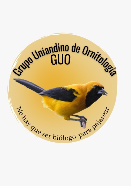 Semillero del grupo uniandino de ornitología 